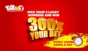 tatua tatu results|Tatua rockets to record earnings and payout .